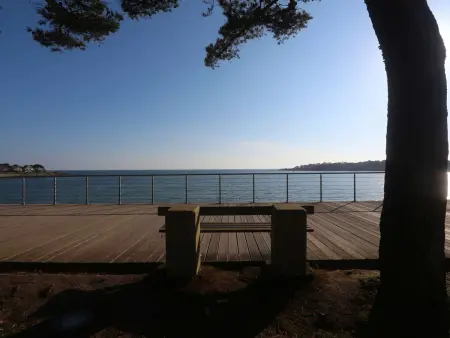 T2 rénové à 300m de la plage à Bénodet : photo 14