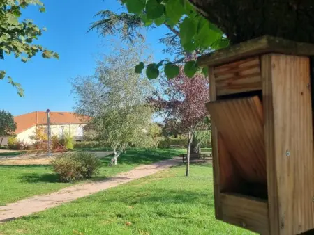 Le Cèdre : gîte 6 pers., 85 m² au cœur du village : photo 10