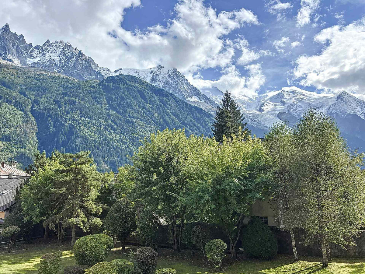 Appartement 3 pièces Chamonix, vue Mont-Blanc, 100m pistes - Photo 15