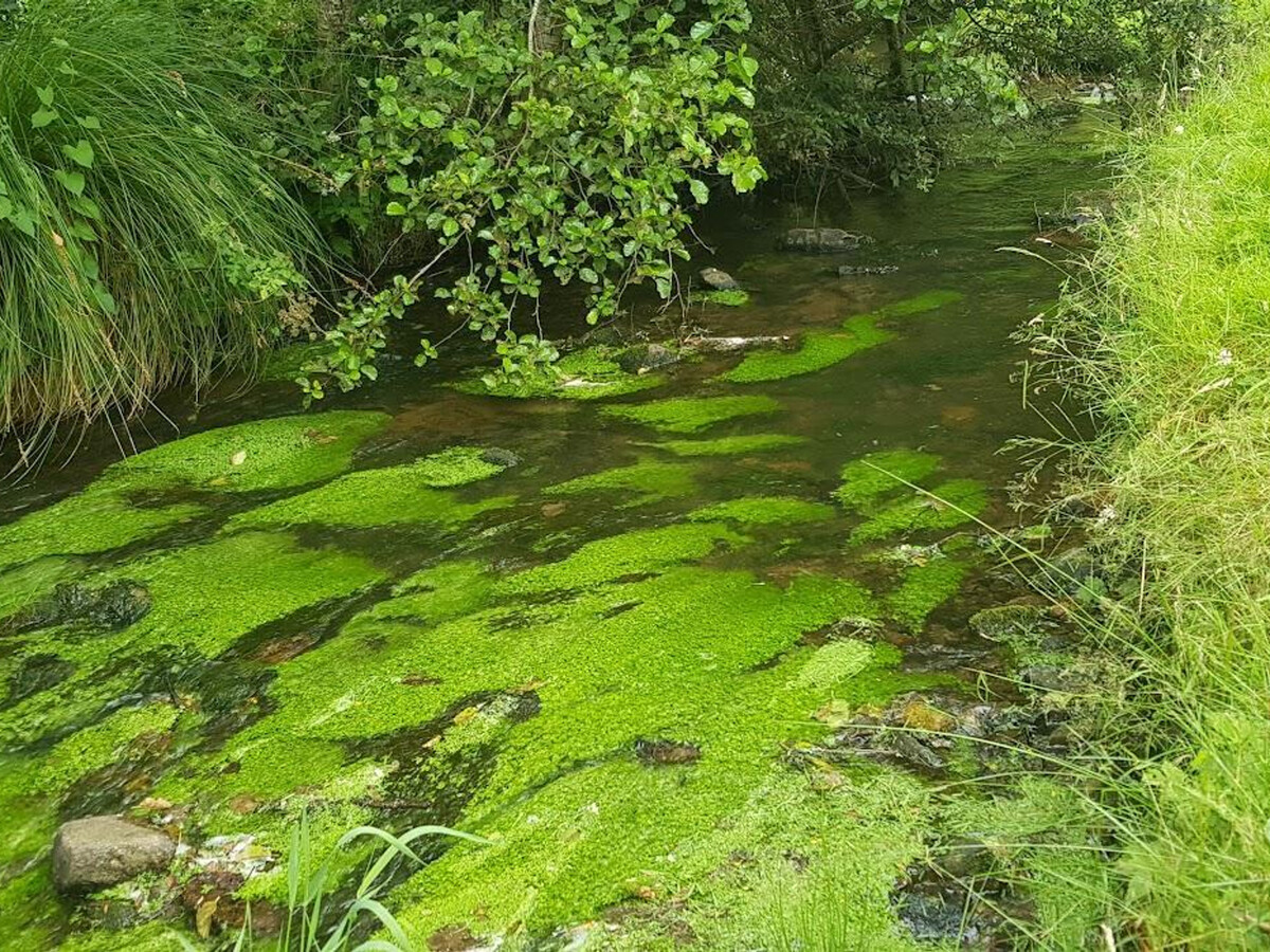 Moulin médiéval 10 pers. — Jardin, animaux, rivière - Photo 29