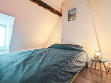 Gîte indépendant Châteauroux, jardin 350m² et parking : photo 4