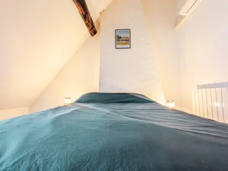 Gîte indépendant Châteauroux, jardin 350m² et parking : photo 8