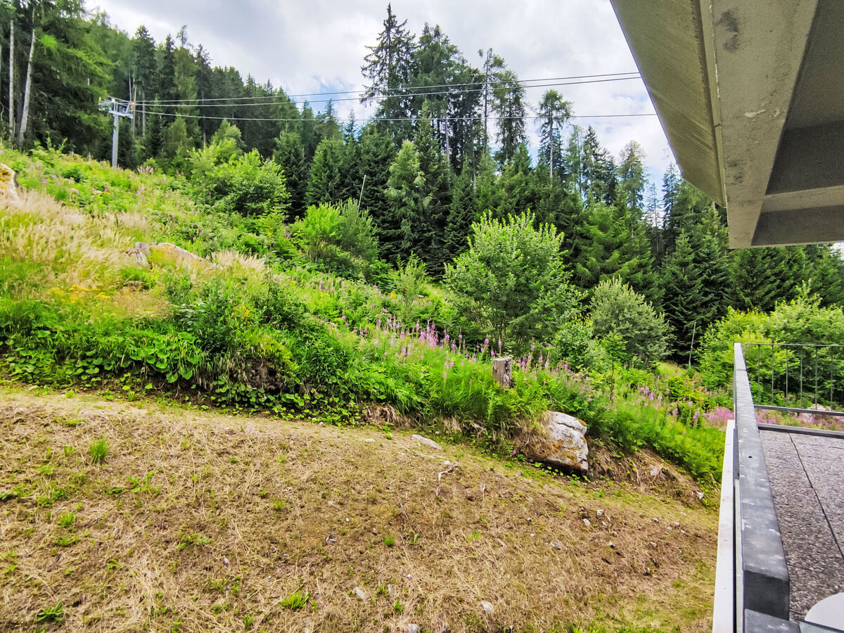 Tra le Piste – Appartement vue pistes à Marilleva - Photo 32