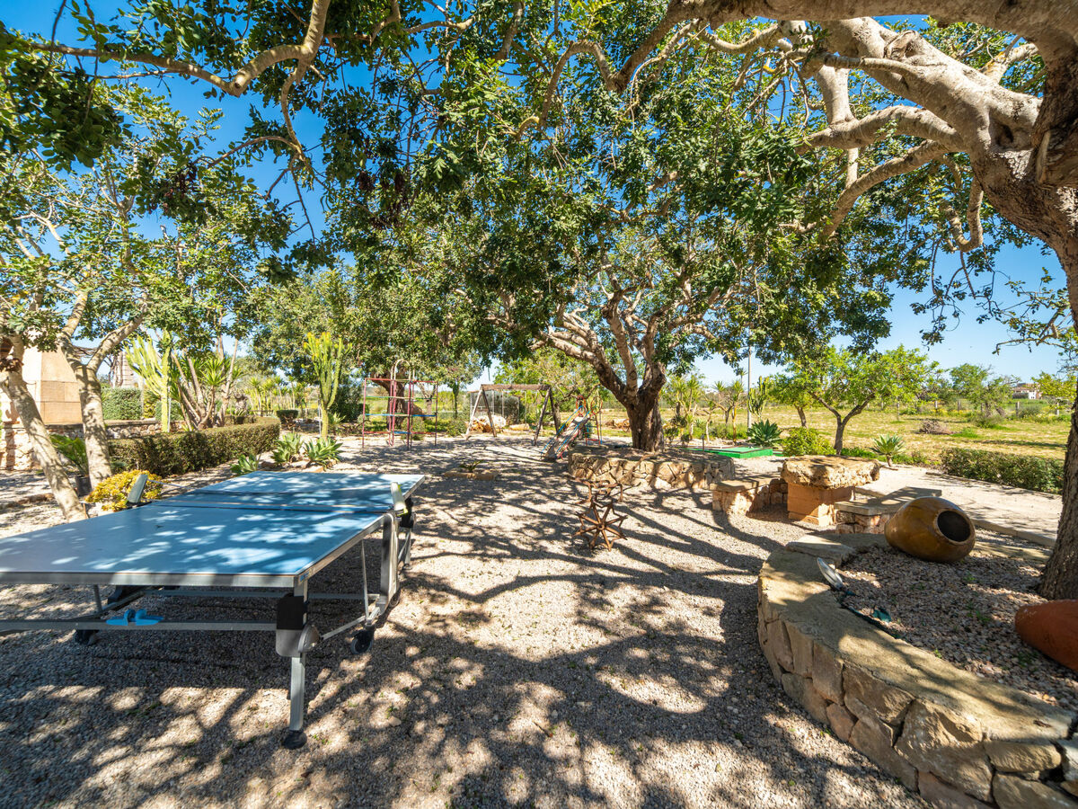 Ses Terrasses, maison 6 personnes à Porreres - Photo 31
