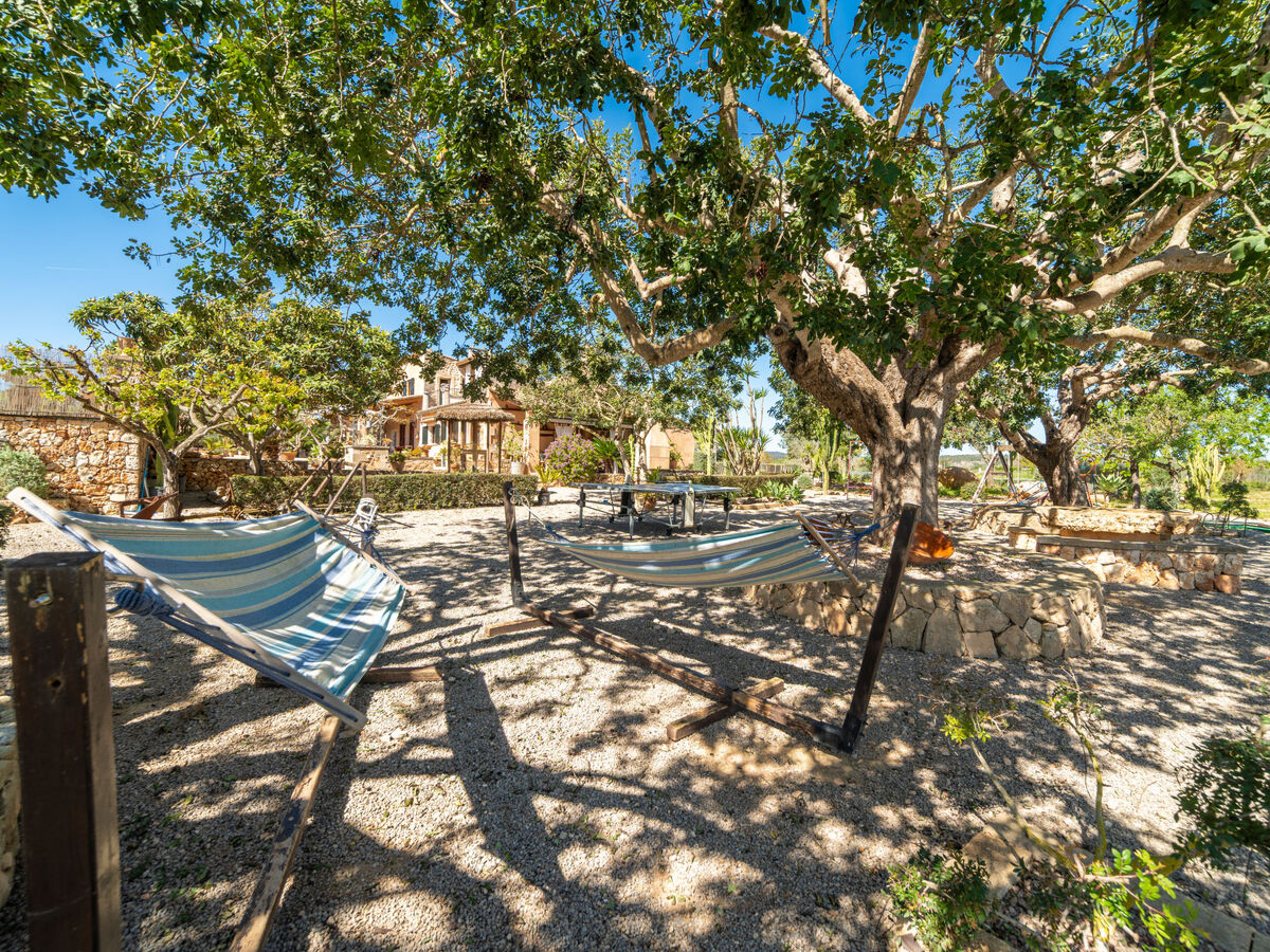 Ses Terrasses, maison 6 personnes à Porreres - Photo 33