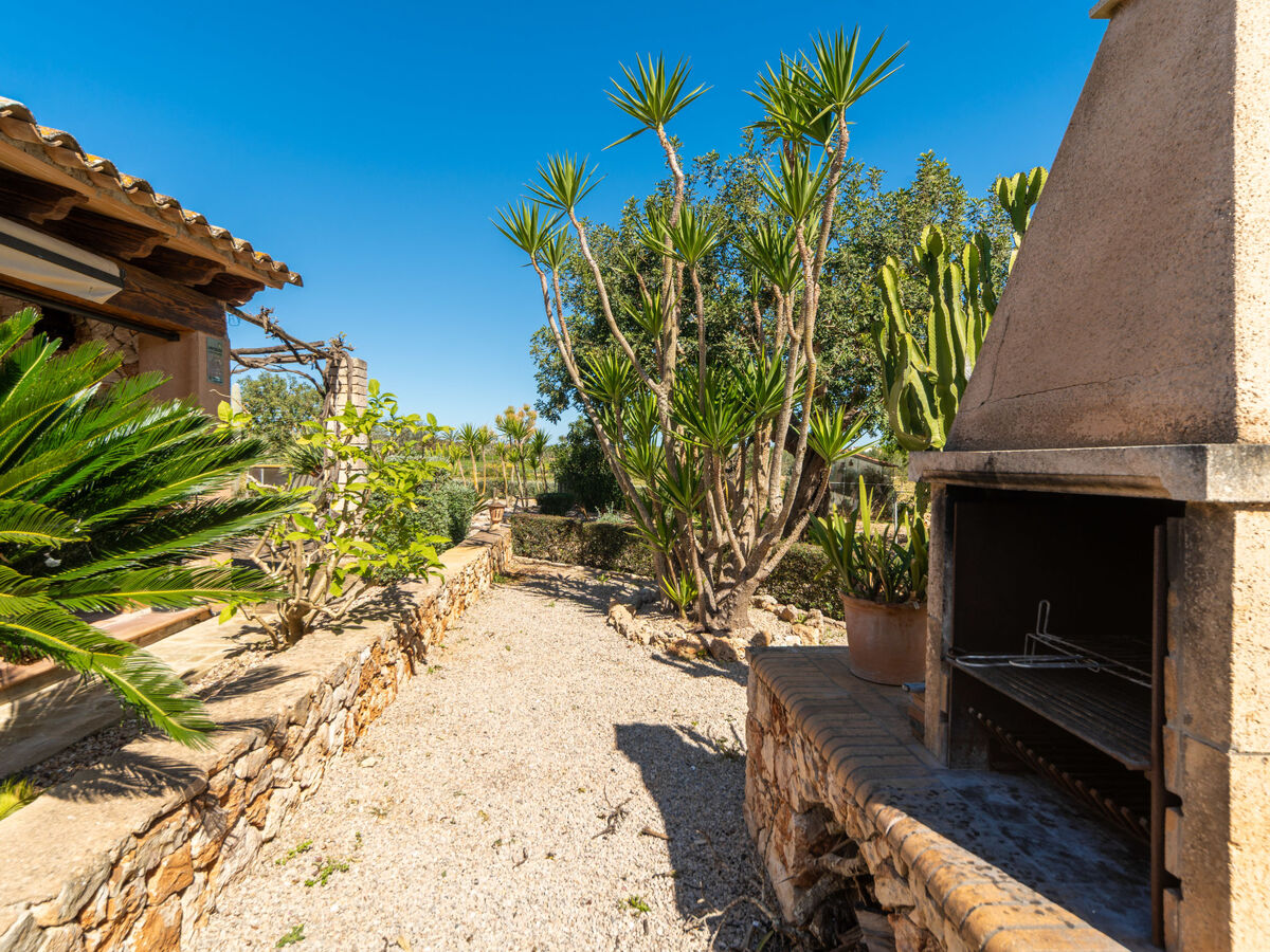 Ses Terrasses, maison 6 personnes à Porreres - Photo 37