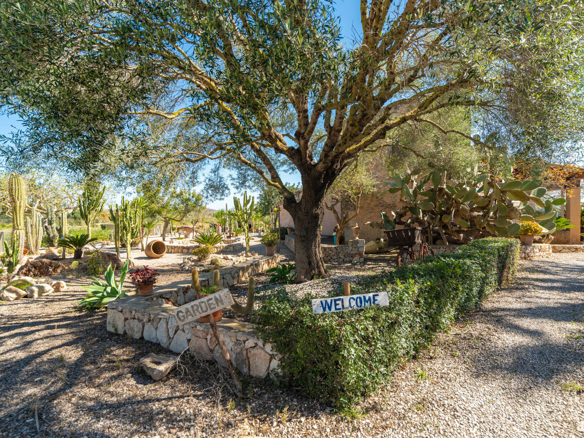 Ses Terrasses, maison 6 personnes à Porreres - Photo 41