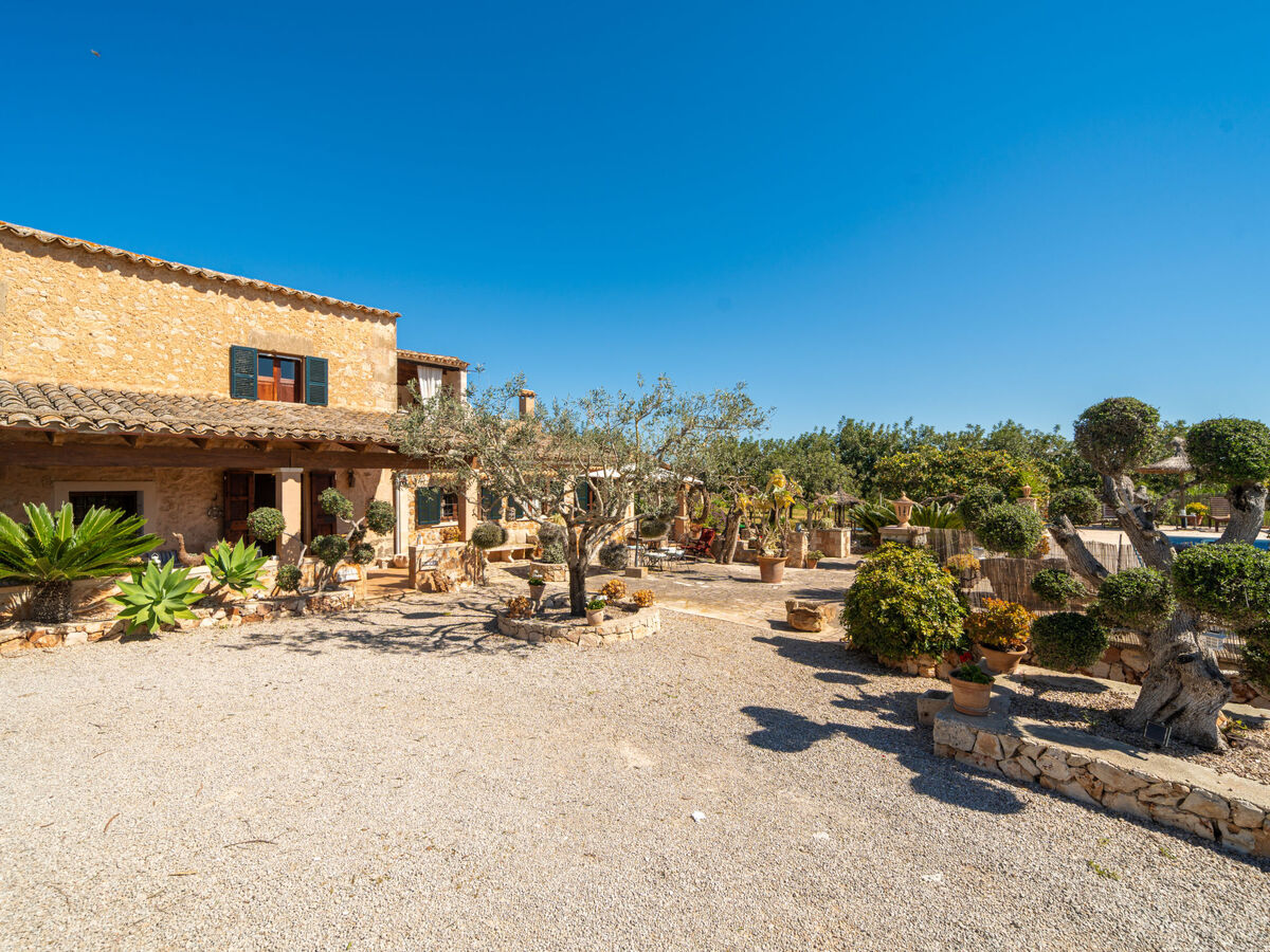 Ses Terrasses, maison 6 personnes à Porreres - Photo 42