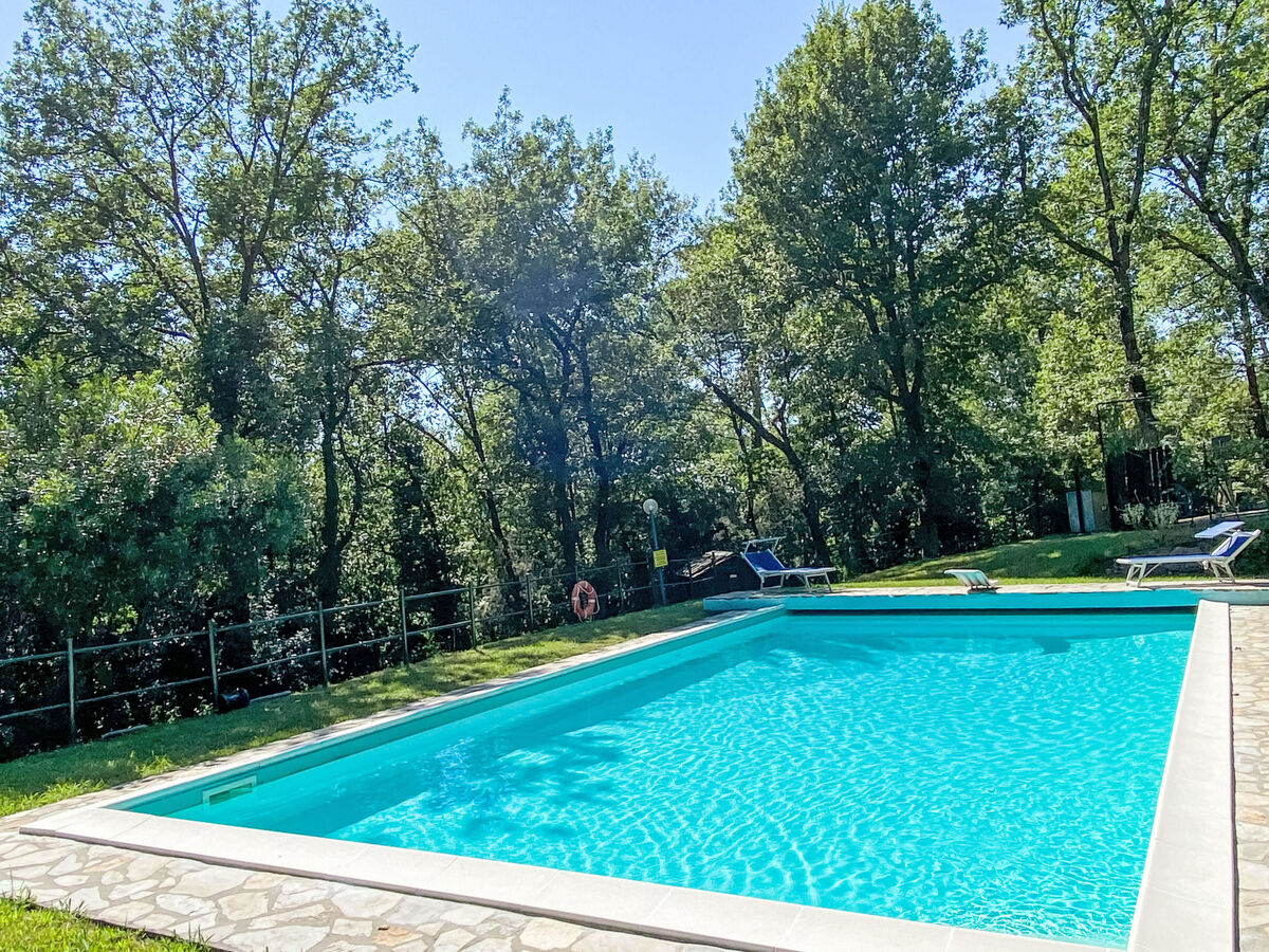 Maison rustique Alle Piane avec piscine privée - Photo 31