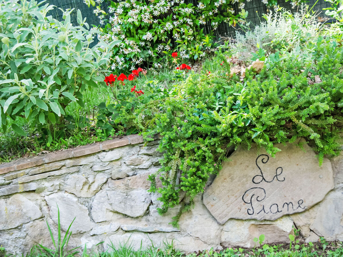 Maison rustique Alle Piane avec piscine privée - Photo 36
