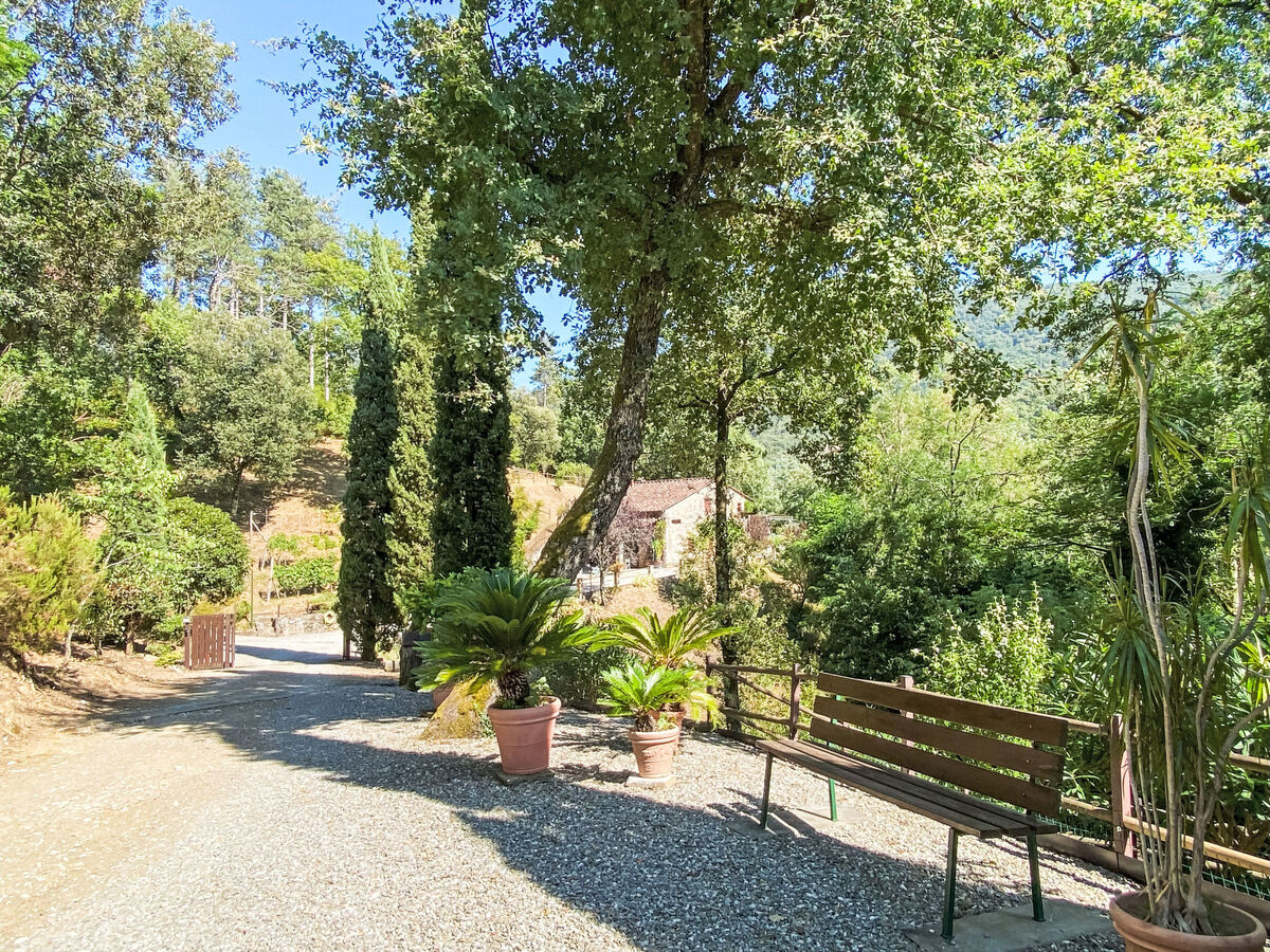 Maison rustique Alle Piane avec piscine privée - Photo 41