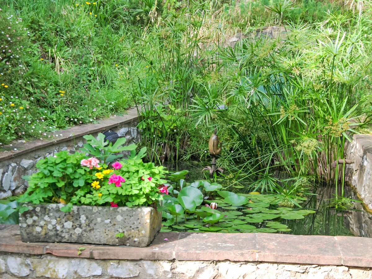 Maison rustique Alle Piane avec piscine privée - Photo 43