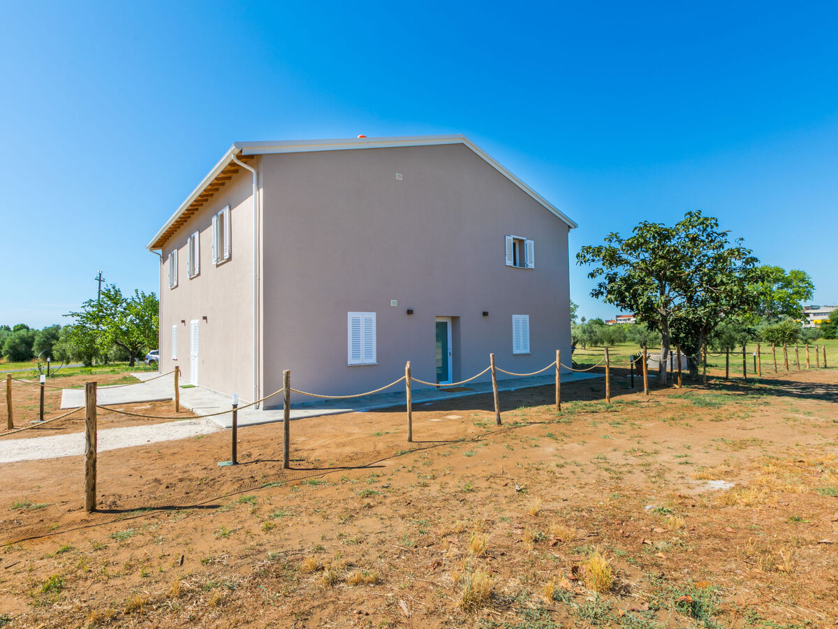 Casa del Pozzo – Appartement 3 chambres à Castagneto Carducci - Photo 17