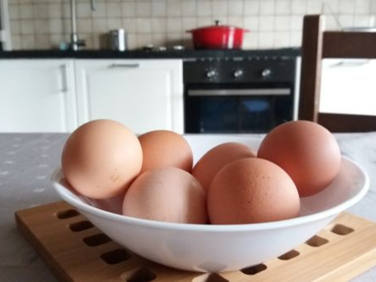 Gîte fermier lorrain 8 personnes avec visite de ferme - Photo 3