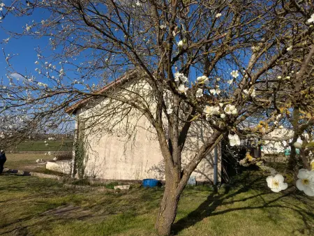 Gîte 89 m² lac de Madine, 6 pers., terrasses : photo 18