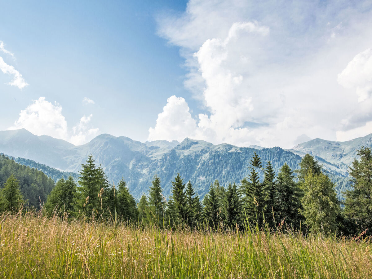 Chalet rustique en Valsugana, vue panoramique sur les montagnes - Photo 11