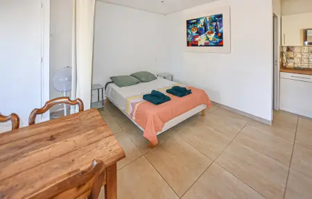 Maison 5 chambres avec piscine débordement en Provence : photo 18