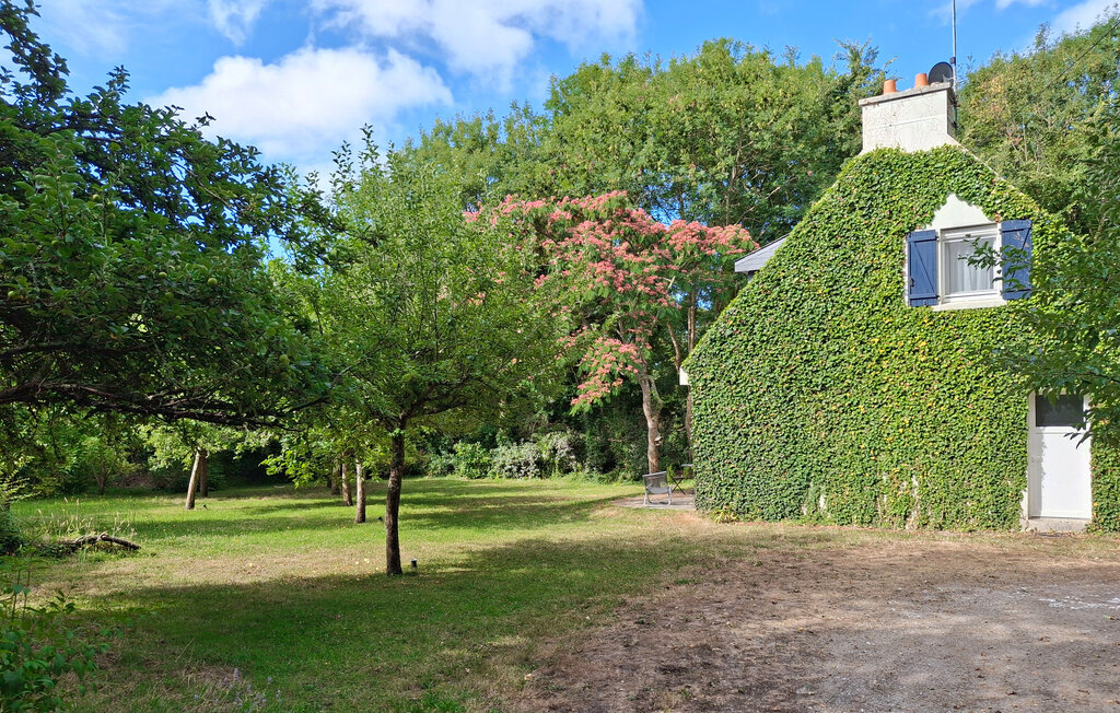 Maison 4 chambres Névez, 5000 m² de terrain naturel - Photo 7