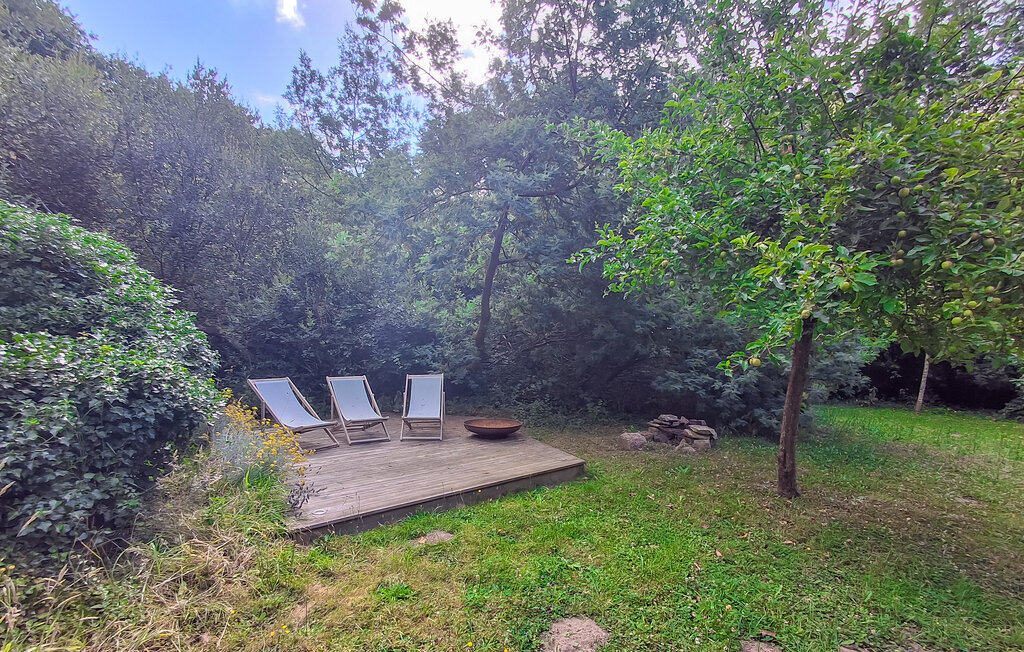 Maison 4 chambres Névez, 5000 m² de terrain naturel - Photo 11