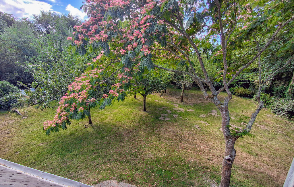 Maison 4 chambres Névez, 5000 m² de terrain naturel - Photo 14