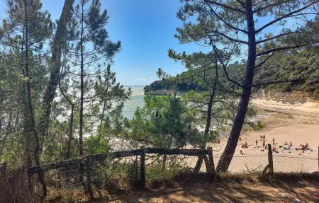 Maison accès plage direct à Meschers-sur-Gironde : photo 24