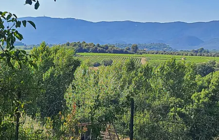 Maison pierre 50m² piscine partagée Luberon : photo 16