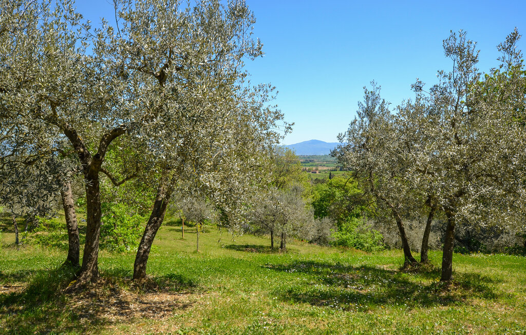 Maison 7 personnes à Monte San Savino - Photo 14