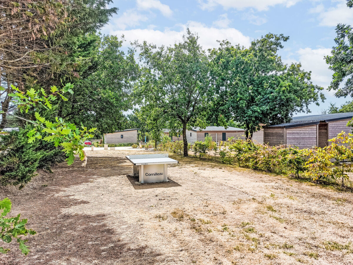 Chalet moderne 48 m² avec terrasse 22 m² à Guérande - Photo 25