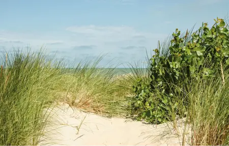 Maison 8 personnes à Koksijde - Photo 19