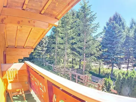 Chalet spacieux 12 personnes avec parking aux Deux Alpes - Photo 13