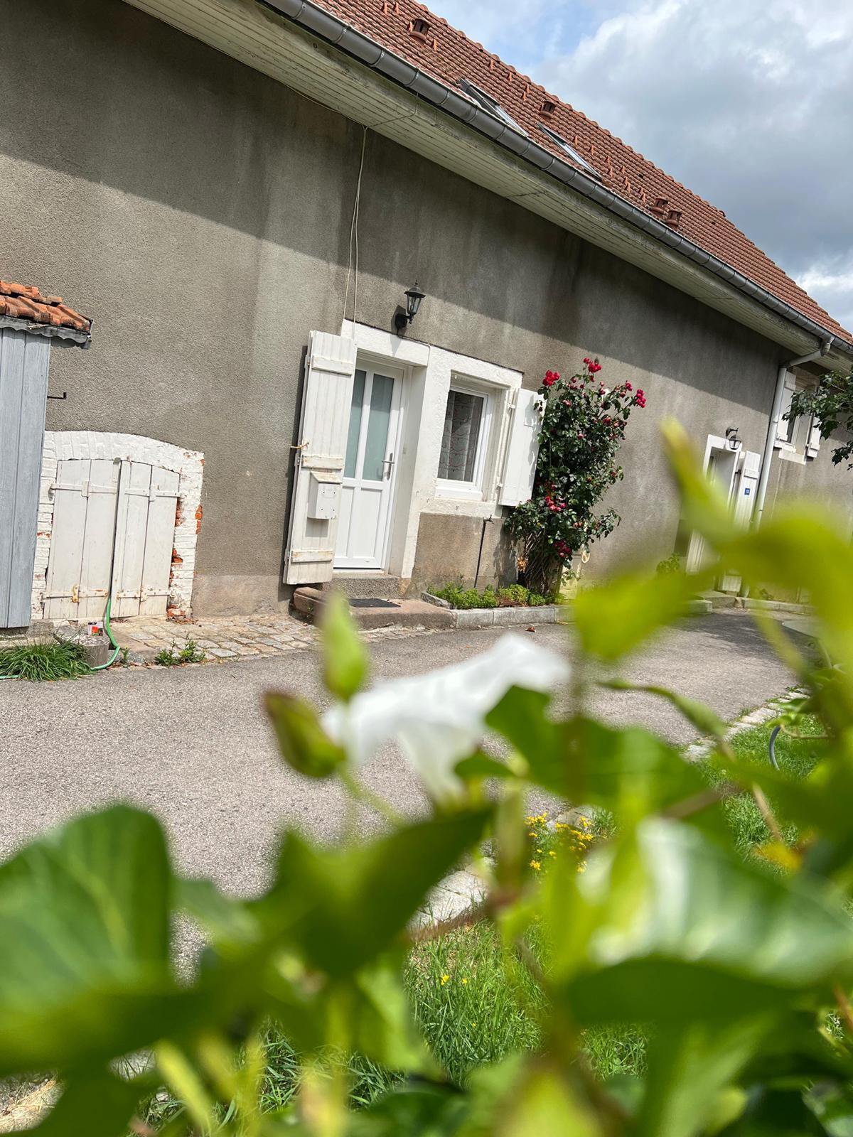 Studio Gérardmer 40 m² - Accès direct pistes et lac - Photo 12