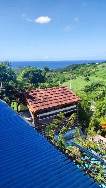 Villa avec piscine privée et kiosque à Le Carbet, Martinique : photo 5