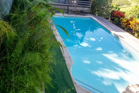 Villa avec piscine privée et kiosque à Le Carbet, Martinique : photo 17