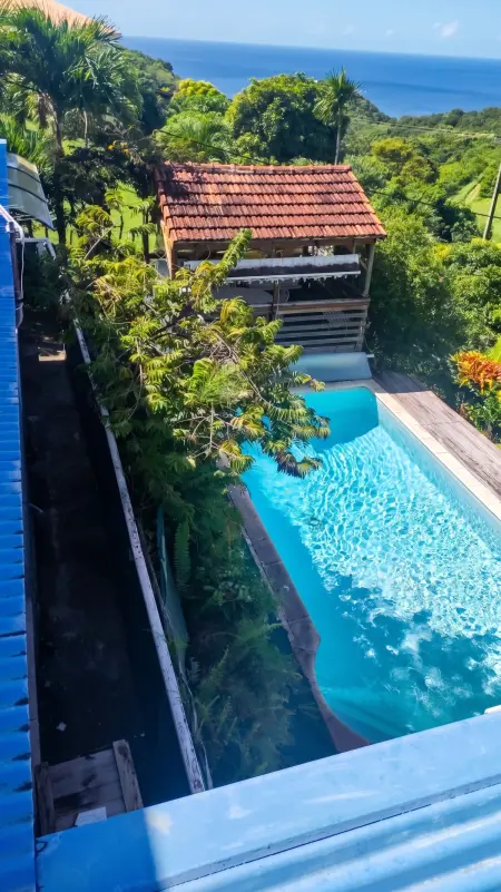 Villa avec piscine privée et kiosque à Le Carbet, Martinique : photo 20