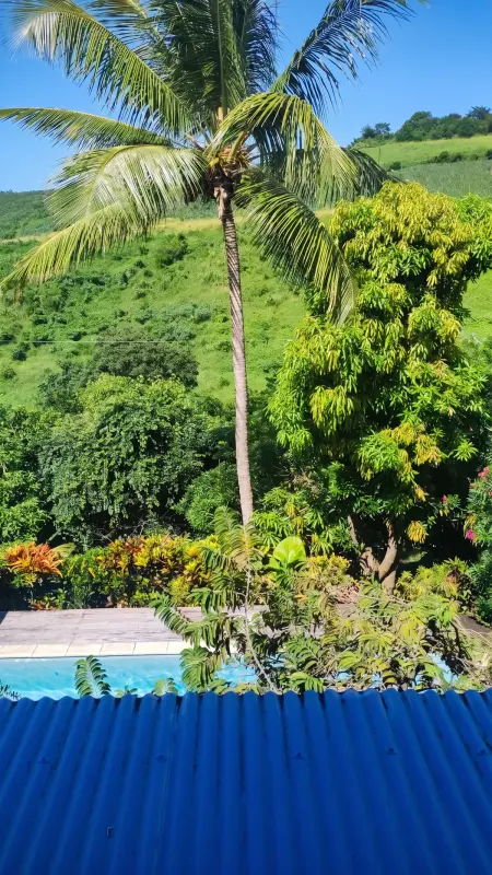 Villa avec piscine privée et kiosque à Le Carbet, Martinique : photo 22