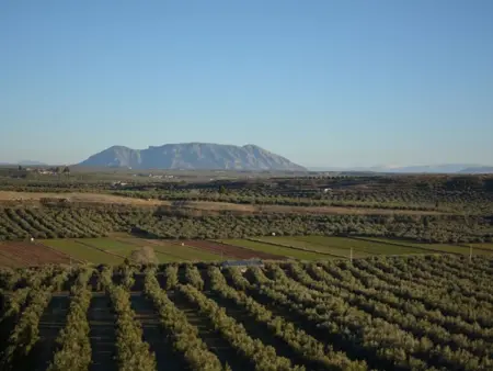 Maison rurale avec cheminée parfaite pour randonner à Jaén - Photo 17
