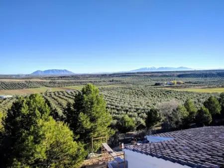 Maisons de standing avec cheminée et confort moderne à Jaén - Photo 16