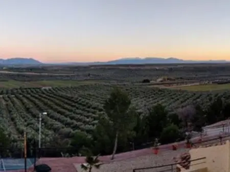 Maisons de standing avec cheminée et confort moderne à Jaén - Photo 17