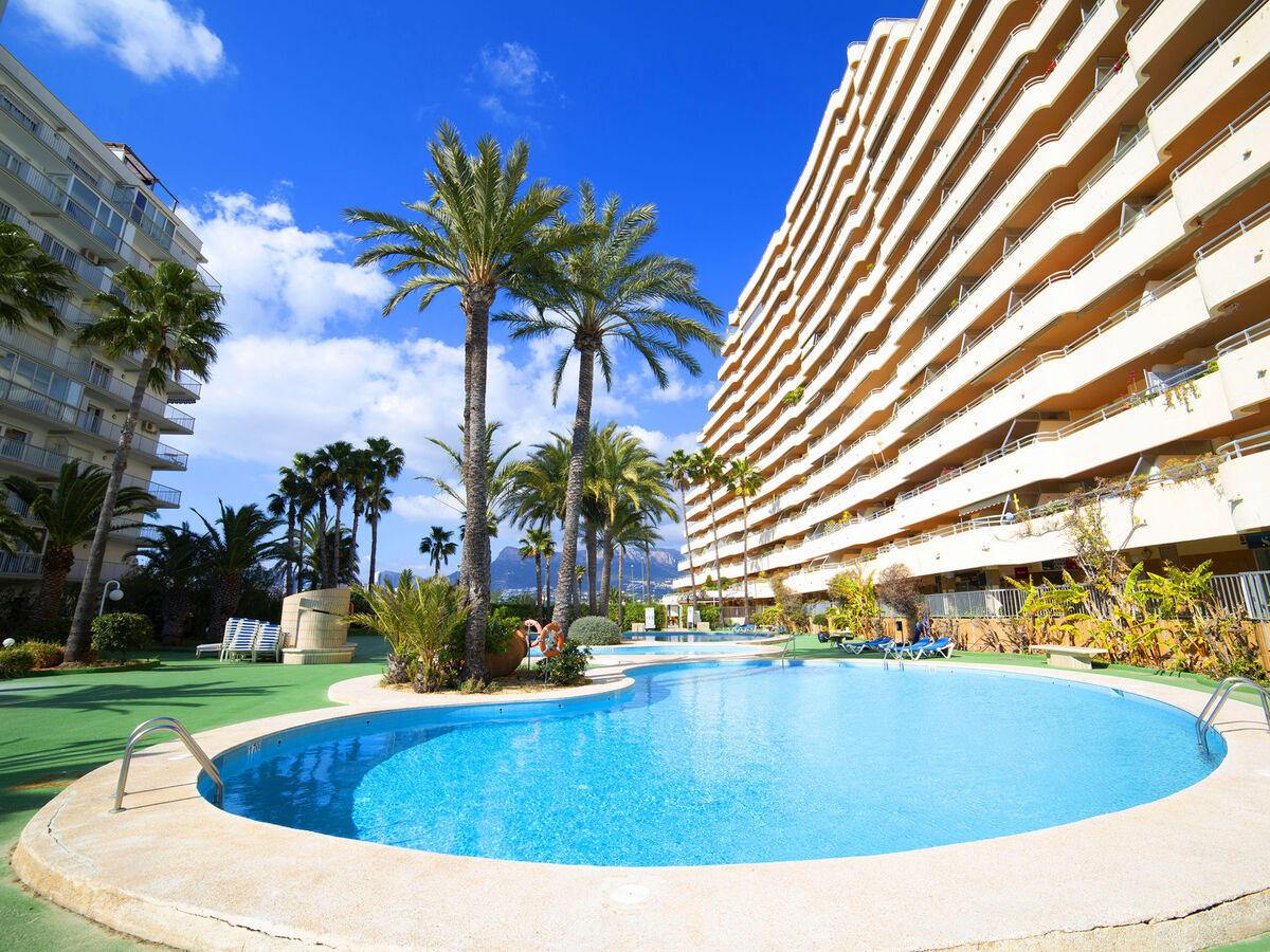 Appartement Turmalina – 9ᵉ étage, vue mer, à 20 m de la plage - Photo 24