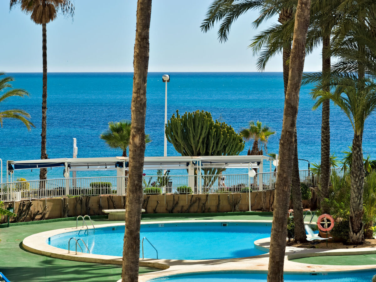 Appartement Turmalina – 9ᵉ étage, vue mer, à 20 m de la plage - Photo 27