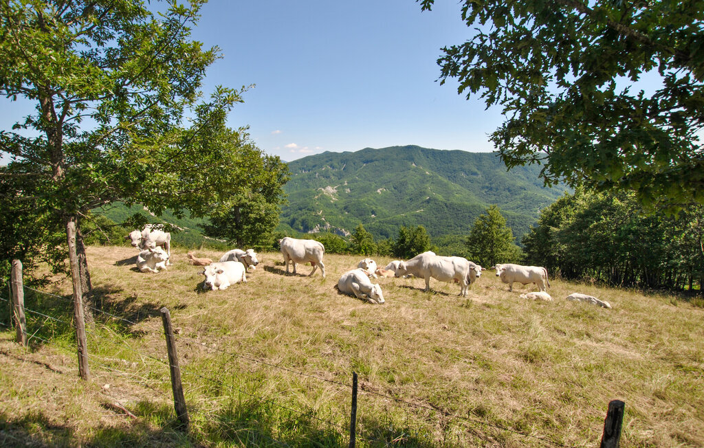 Maison 7 personnes à Sestino - Photo 21