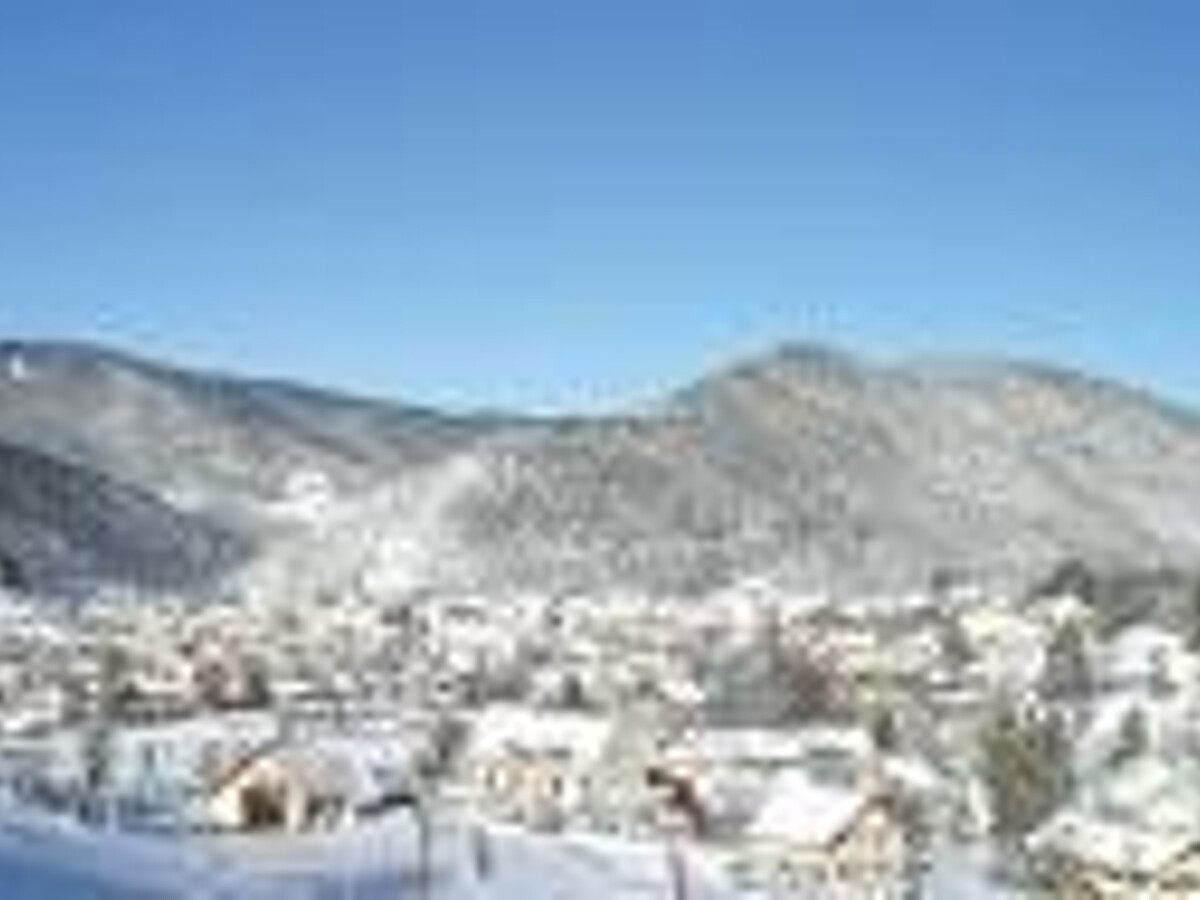 Appartement 3 pièces balcon sud à Villard-de-Lans - Photo 10