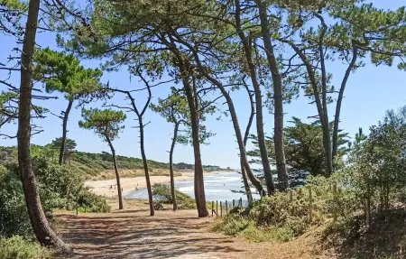 Maison 3 chambres en forêt de pins, 500 m de la plage : photo 3