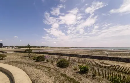 Maison 3 chambres en forêt de pins, 500 m de la plage : photo 16