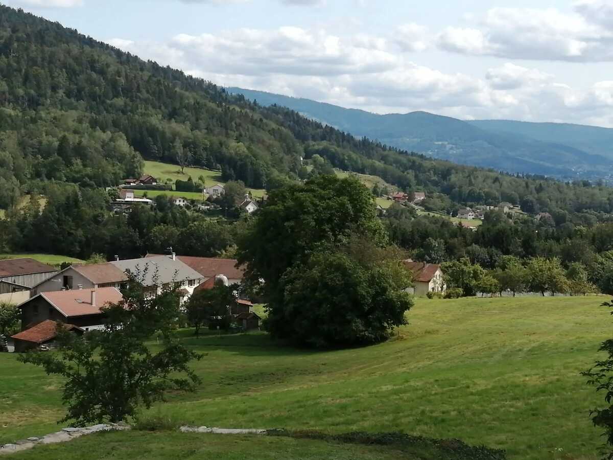 Appartement 40 m² à Cleurie, 4 personnes, jardin - Photo 4
