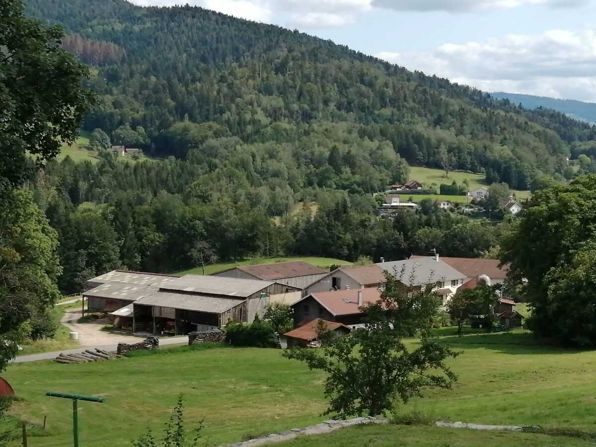 Appartement 40 m² à Cleurie, 4 personnes, jardin - Photo 5