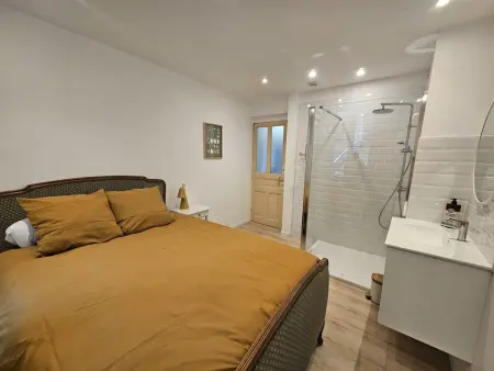 Gîte Dupuis, maison de ville rénovée au cœur historique d'Épinal : photo 14
