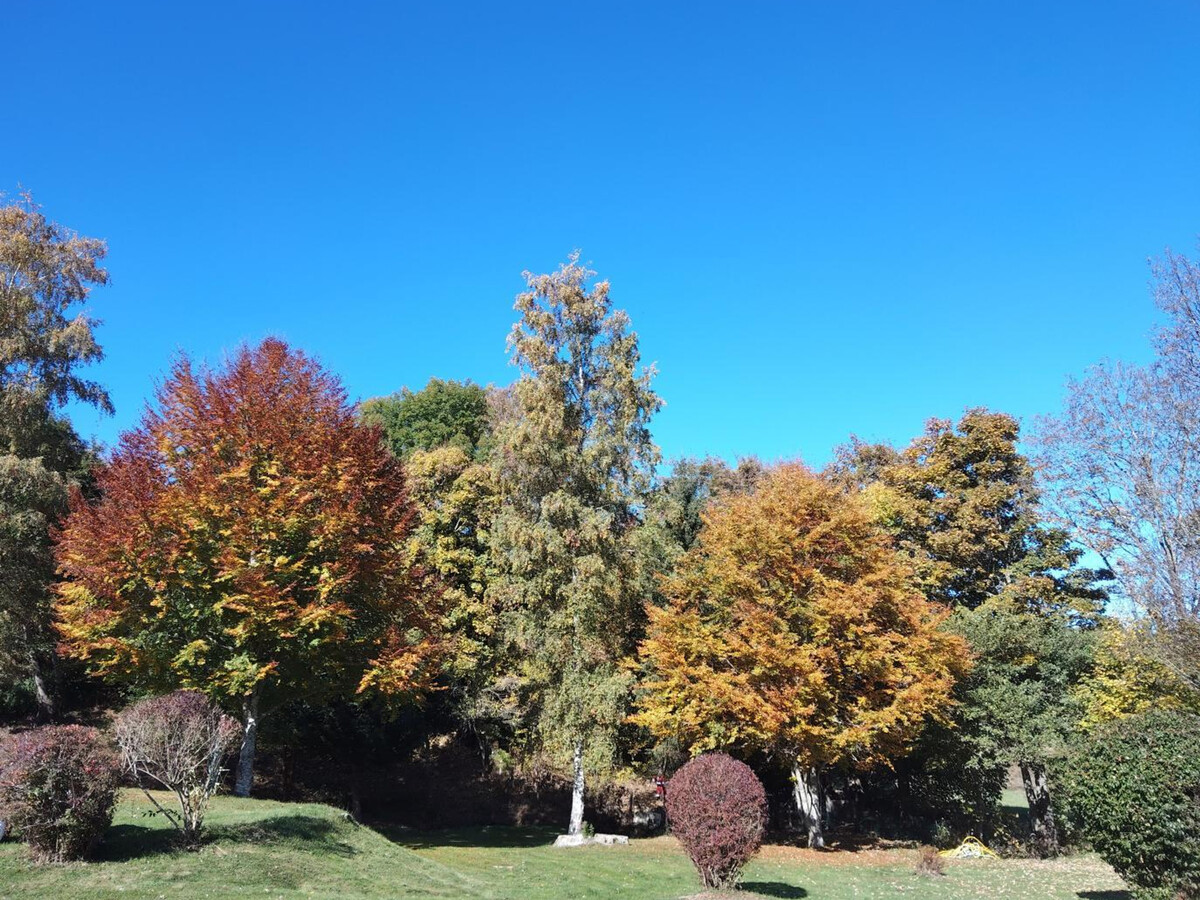 Gîte 58 m² rénové 2025, jardin 200 m², animaux acceptés - Photo 26