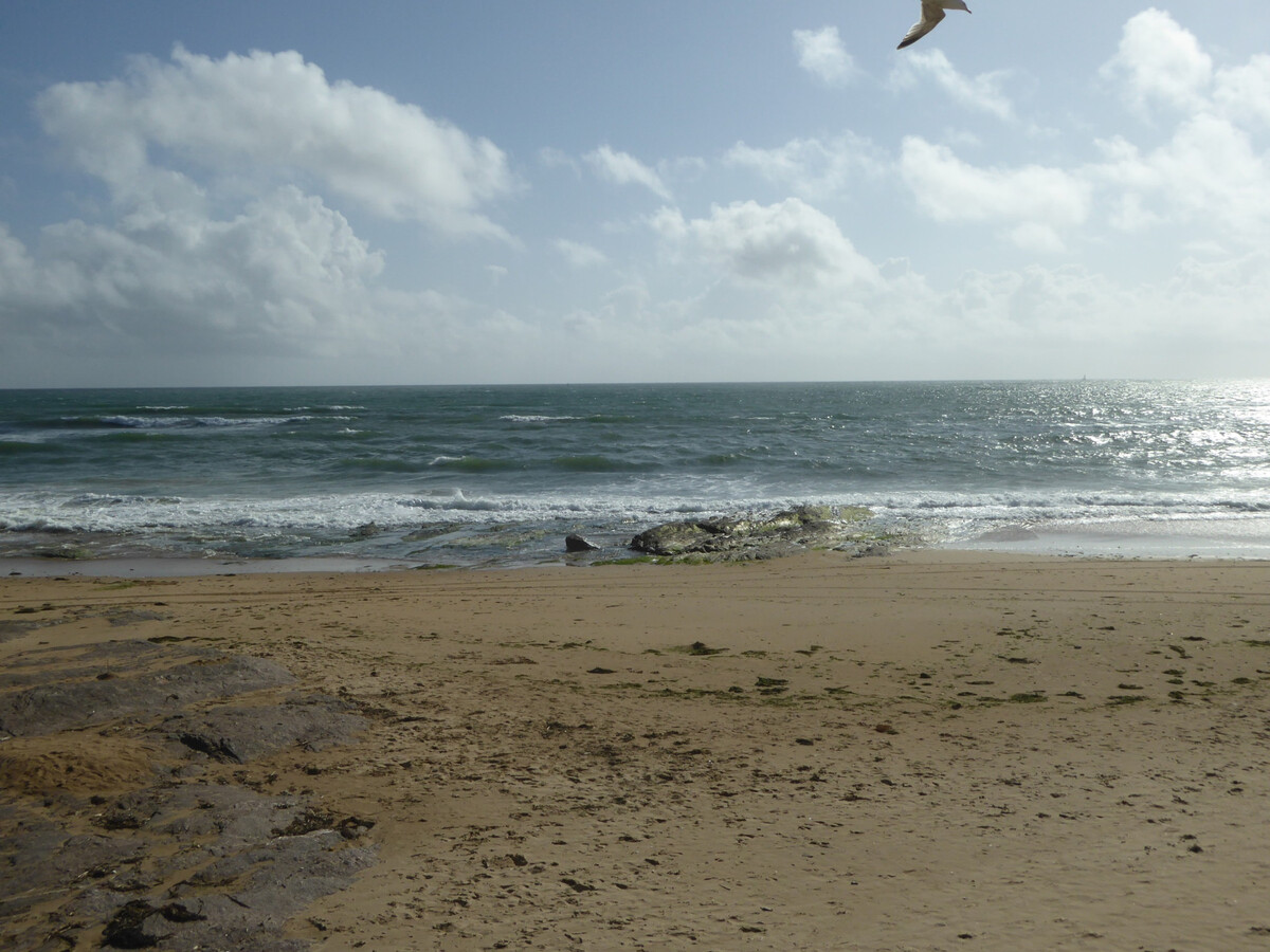 Maison T3 plain-pied avec jardin aux Sables-d'Olonne - Photo 12
