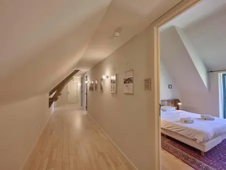 Villa Lactea à Schilde, 6 chambres en bordure de forêt : photo 11